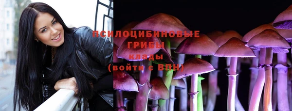 таблы Алексеевка