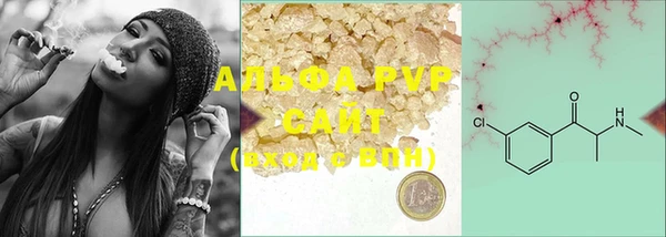 крисы Алзамай