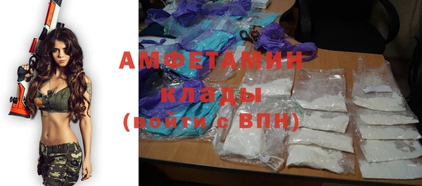 крисы Алзамай